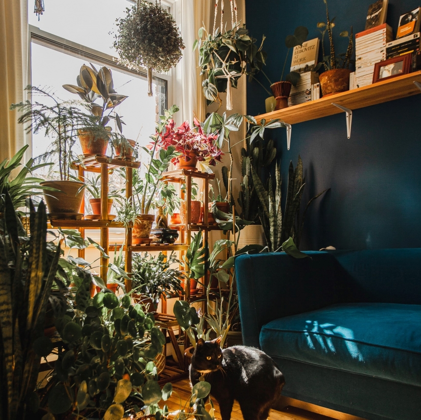 3 Key Tips to Spruce Up Your Mobile Home